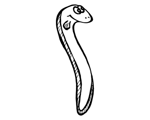 Printy 4924 Tauchstempel 14 Taucherstempel Motiv Zitteraal SCHWARZ BLAU